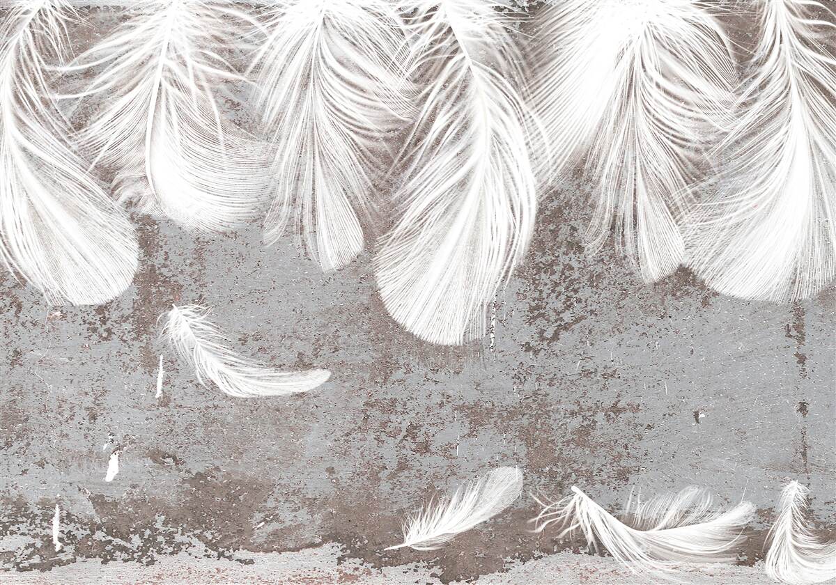 Fototapeten Die Federn, die sich aufbrechen, sind weiß und flauschig