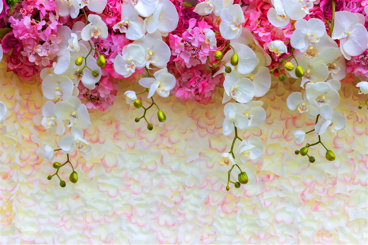 Fototapeten Weiße und rosa Blumen hängen