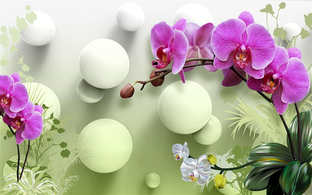 Fototapeten Orchideen in Weiß- und Lila -Schatten