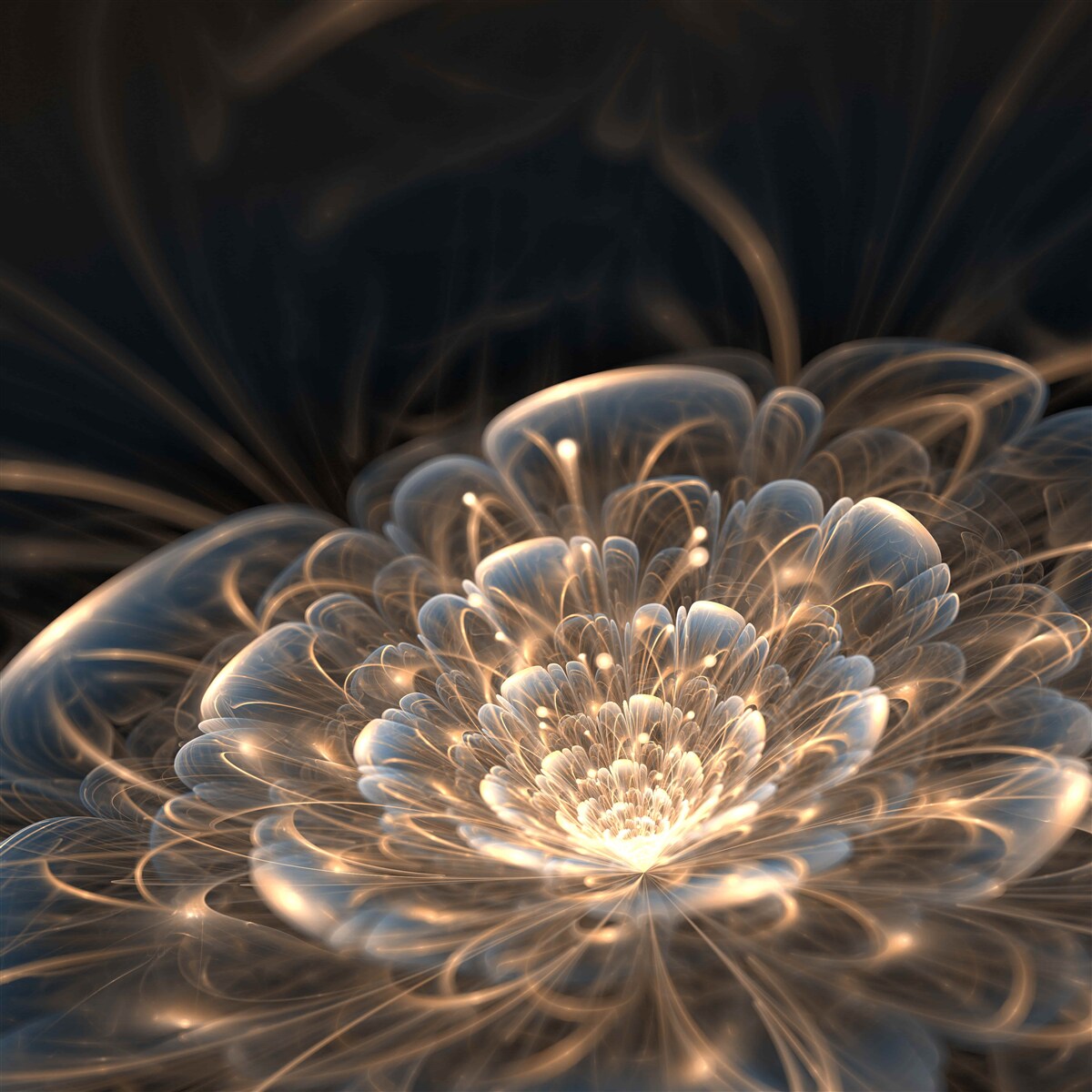 Fototapeten Große Lichtblume