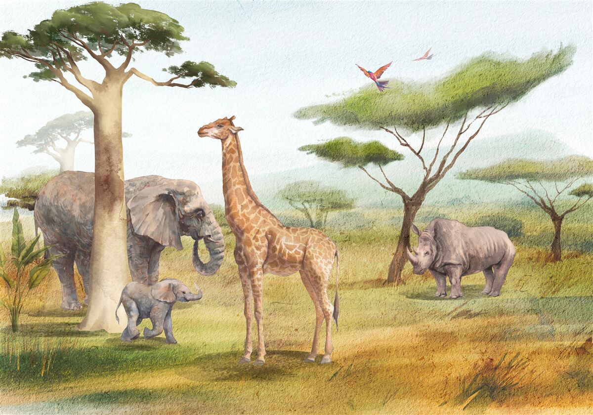 Fototapeten Afrikanische Tiere auf Safari