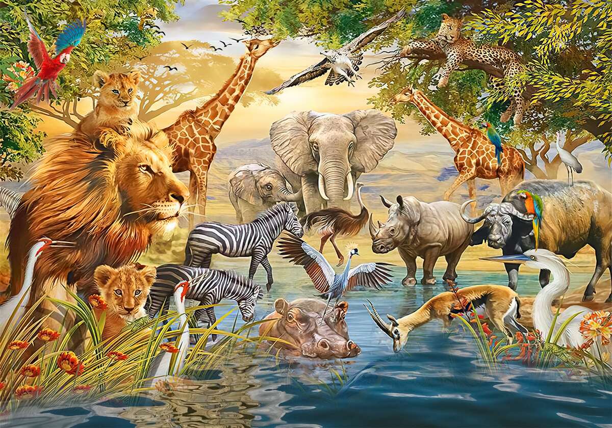 Fototapeten Afrikanische Tiere in der Nähe des Teiches