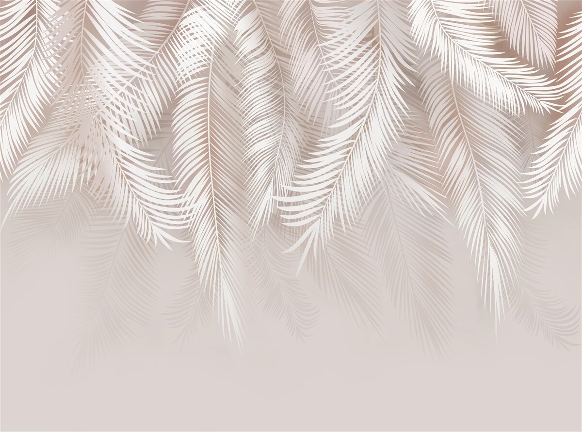 Fototapeten weiche rosa Federn