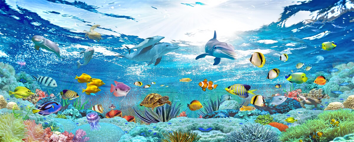 Fototapeten Die Welt unter Wasser in einer Tiefe