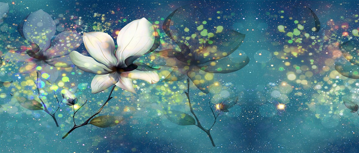 Fototapeten Die weiße Blume in der Nacht mit Sternen gepunktet