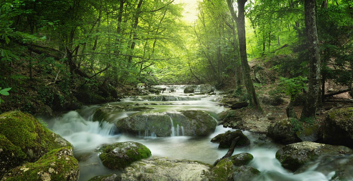 Fototapeten Ruhiges Wasser des Waldwasserfalls
