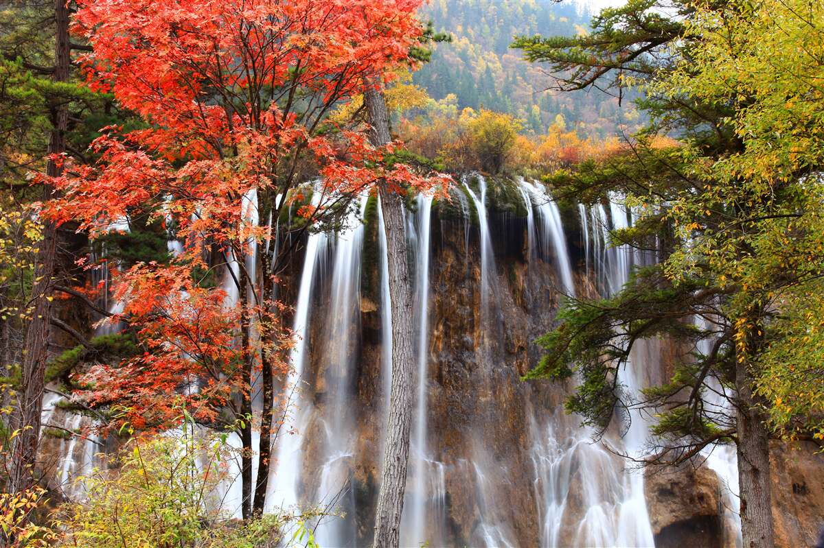 Fototapeten Wald in der Nähe des starken Wasserfalls im Herbst
