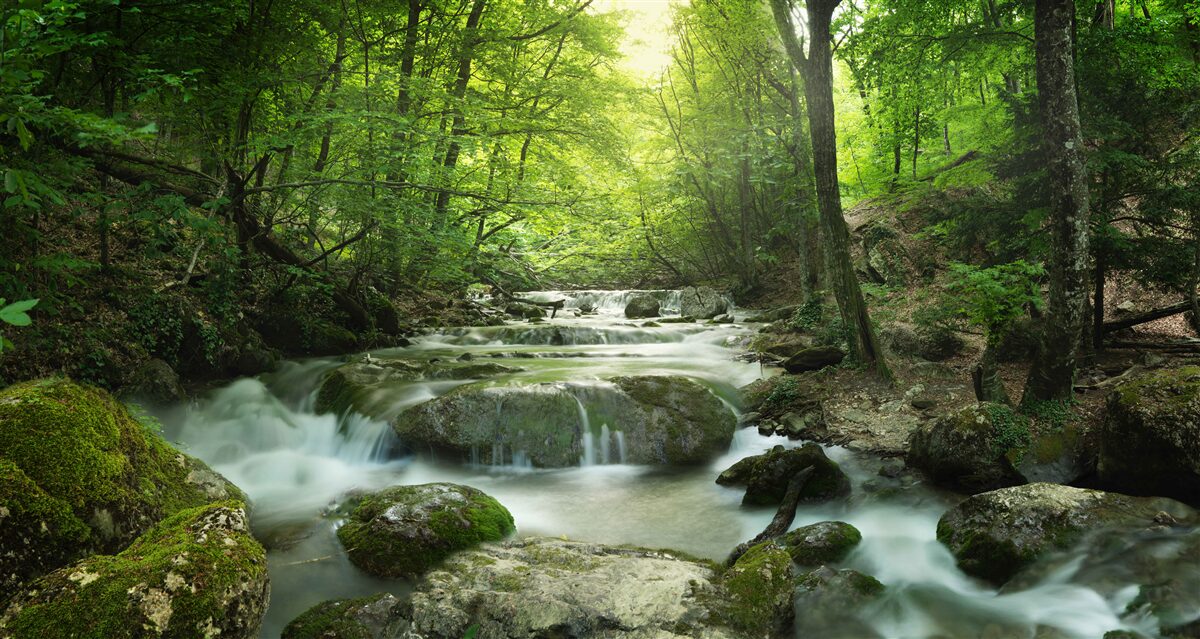 Fototapeten Der Wasserfall in der grünen Tiefe des Waldes steigt leise mit seinem Wasser auf