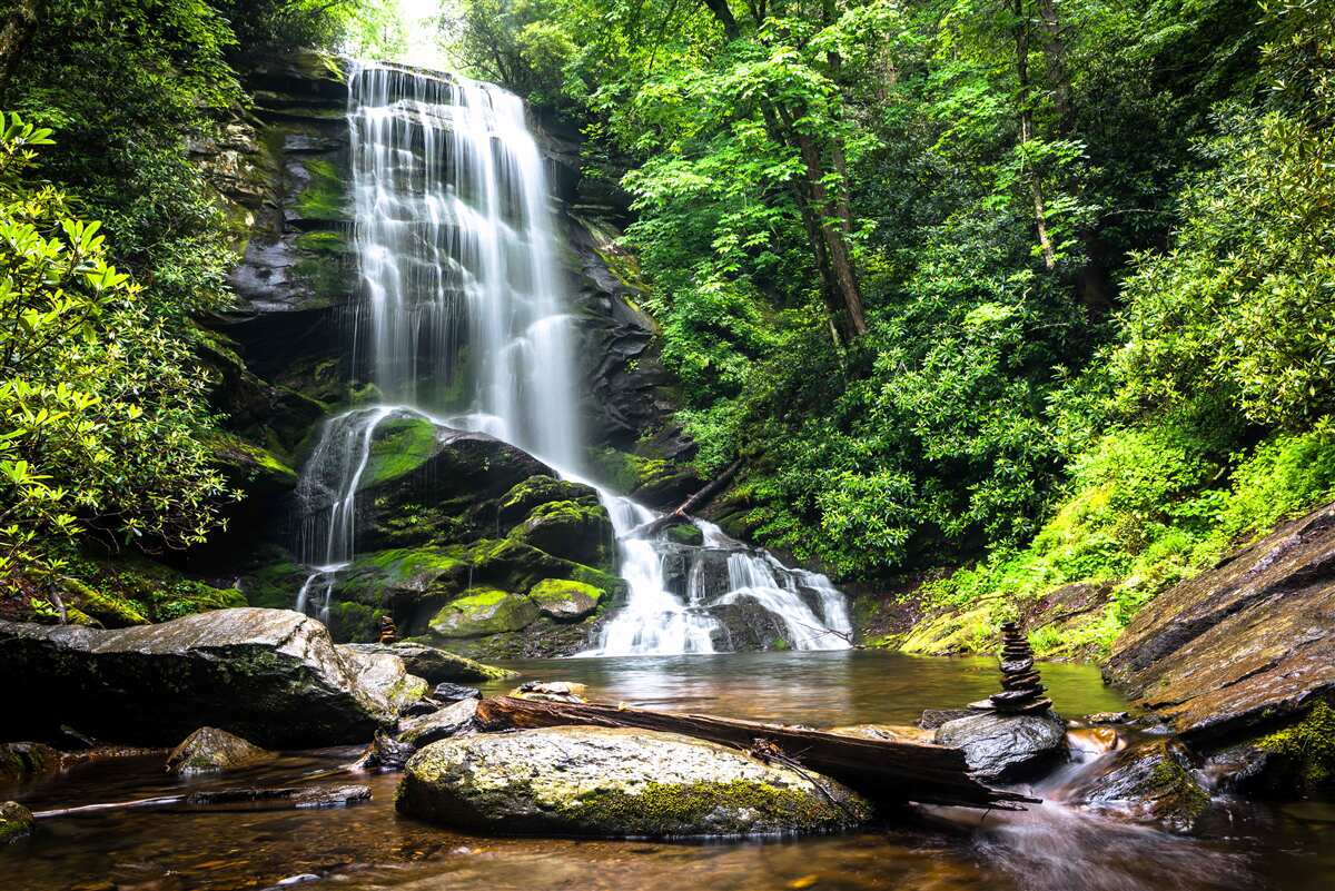 Fototapeten Das Wasser des Bergwasserfalls fällt schnell in den Wald