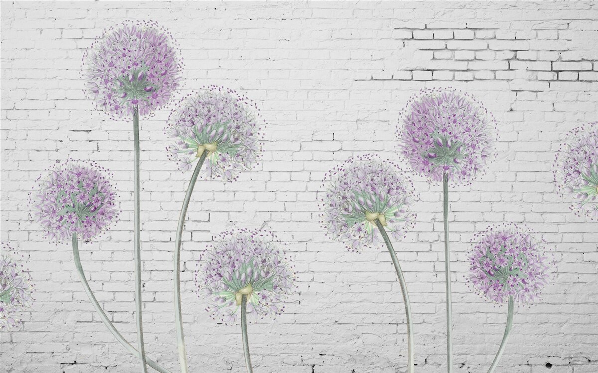 Fototapeten Große Löwenzahnblüten an einer Mauermauer