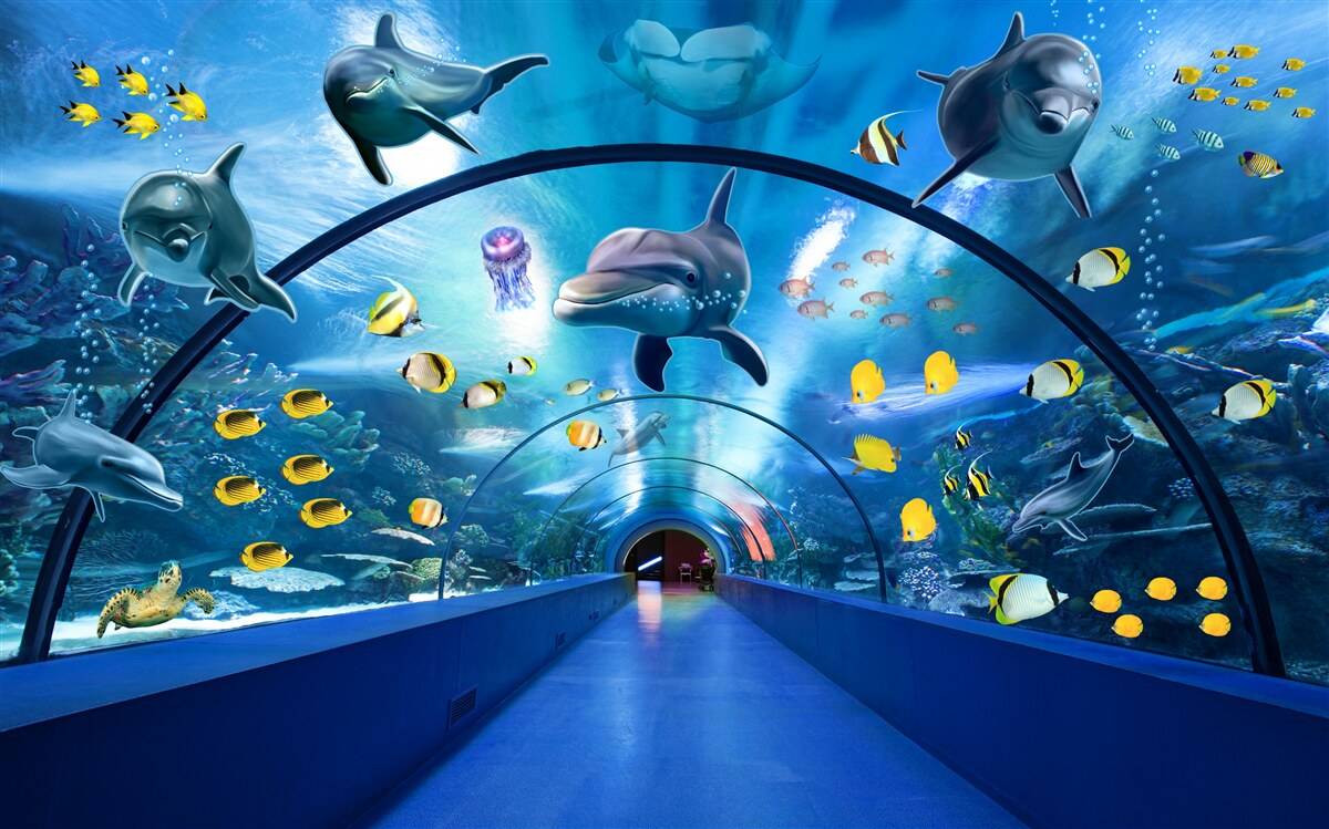 Fototapeten Es gibt Delfine und Fische im Aquarium