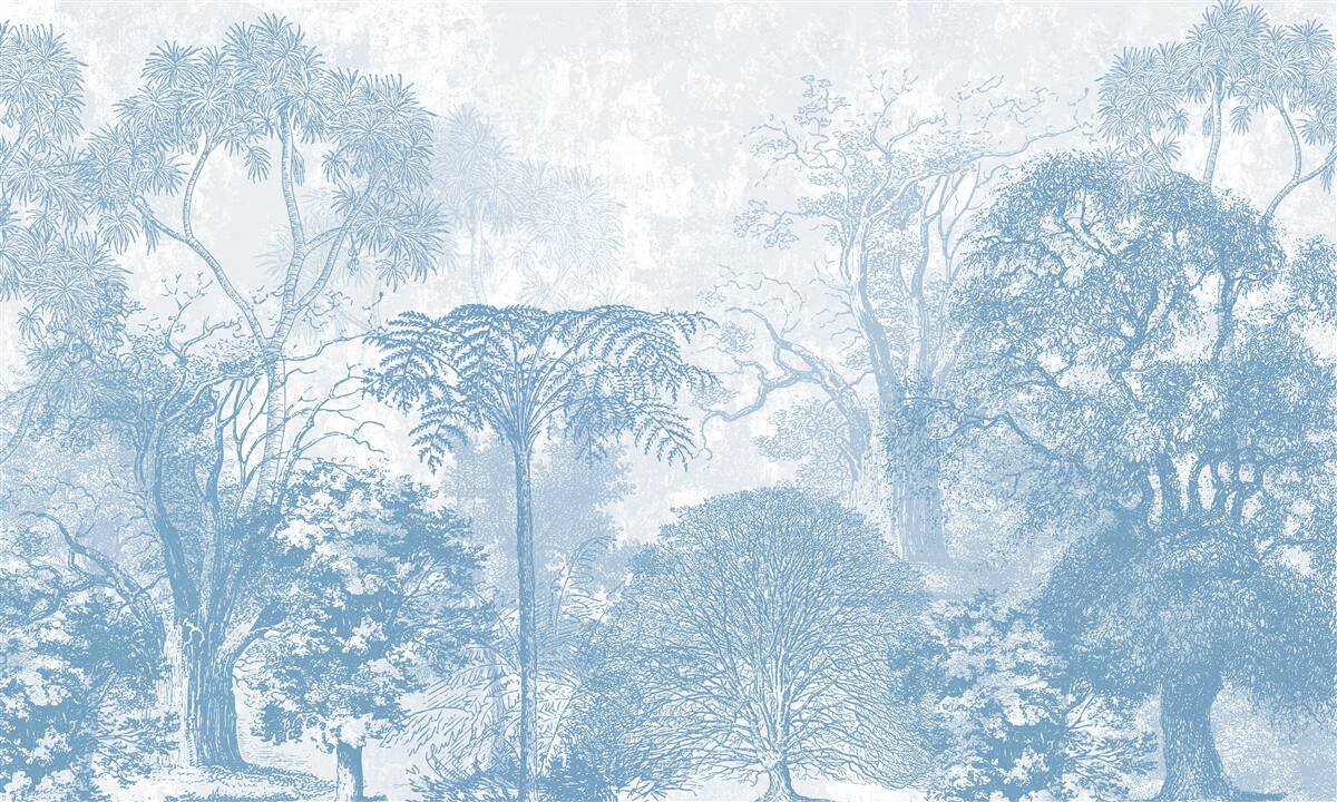 Fototapeten Schwarz -Weiß -Bild der Waldlandschaft