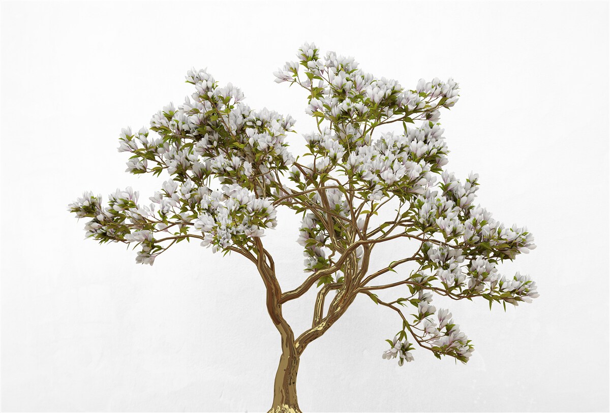 Fototapeten Einsame Bonsai hat eine anmutige Schönheit