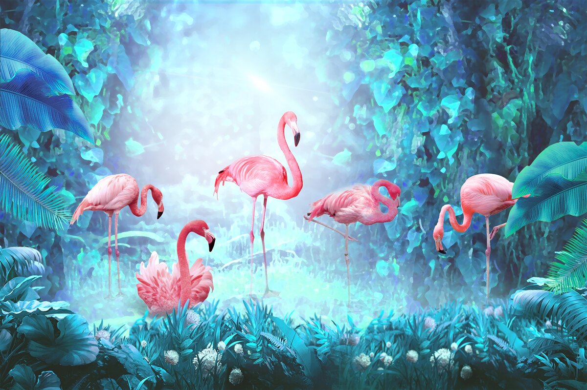 Fototapeten Rosa Flamingos in Nachtgewässern