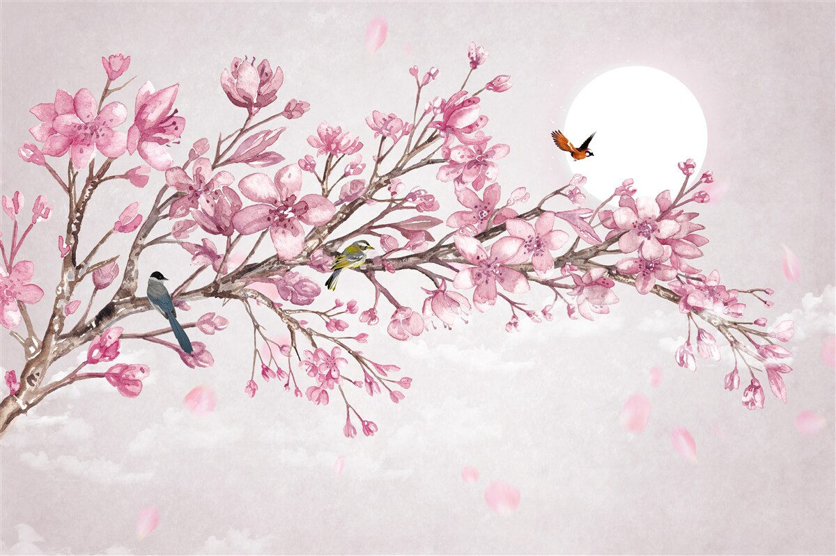 Fototapeten Der atemberaubende rosa Magnolienbaum, der an einem sonnigen Tag scheint