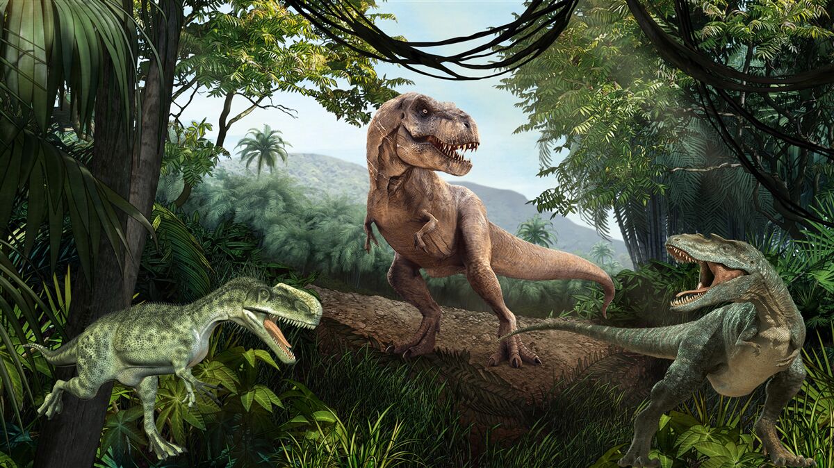 Fototapeten Dinosaurierzeit in der tropischen Zone