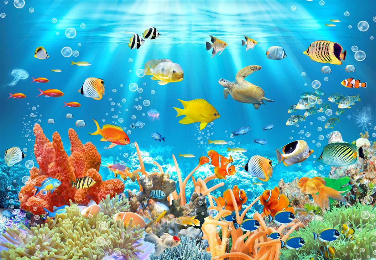 Fototapeten Die lebendige Welt der Unterwassertiefen