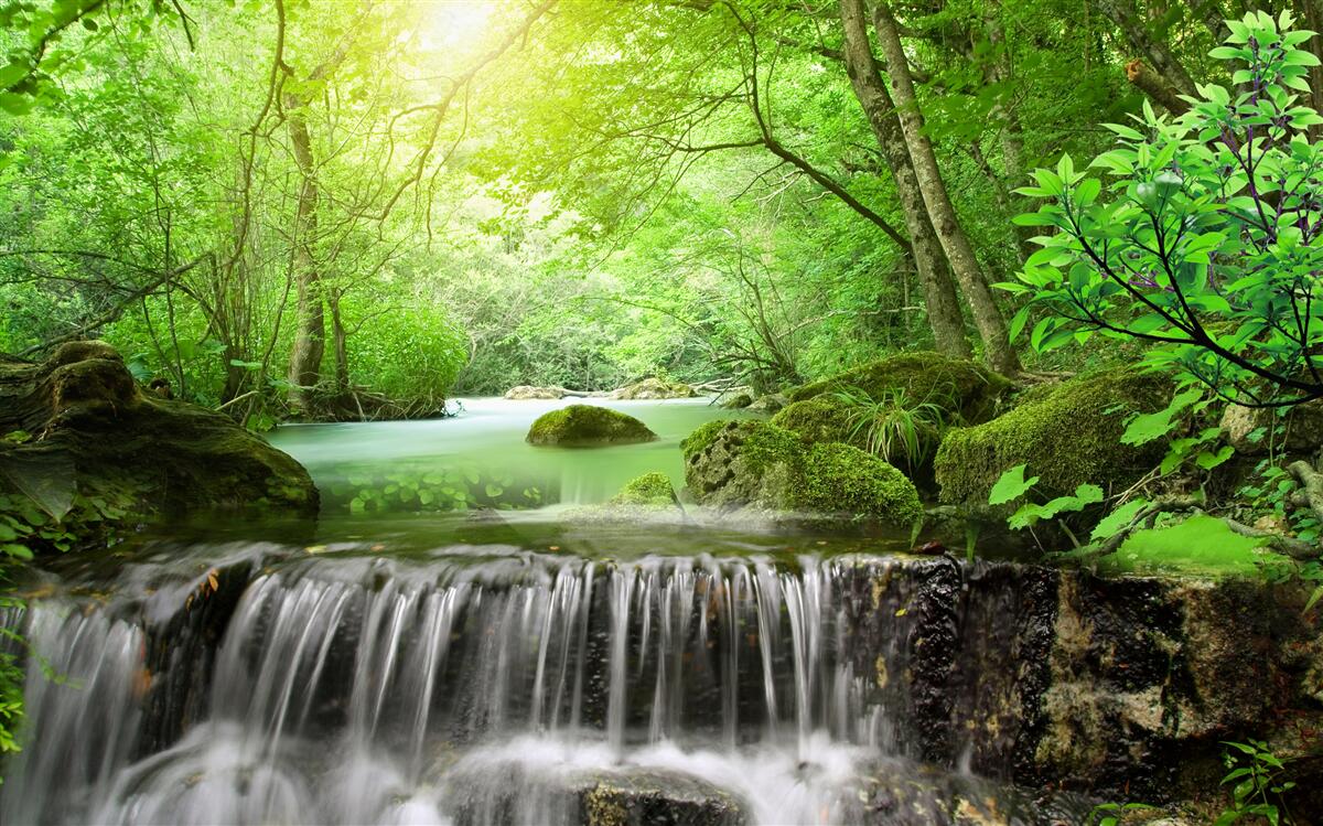 Fototapeten Die Sonnenstrahlen erreichen den Wasserfall