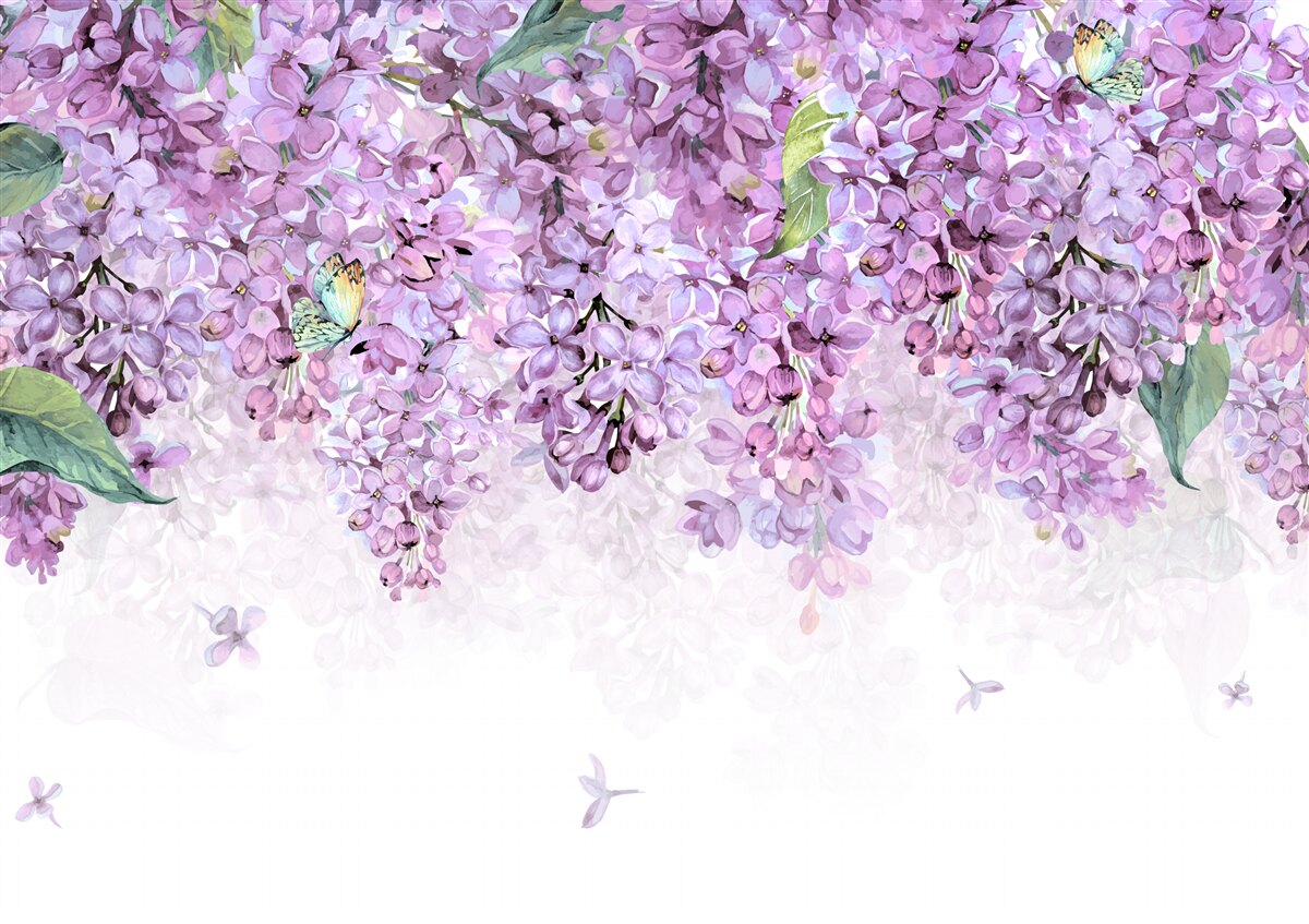 Fototapeten Hellviolette Fliederwand