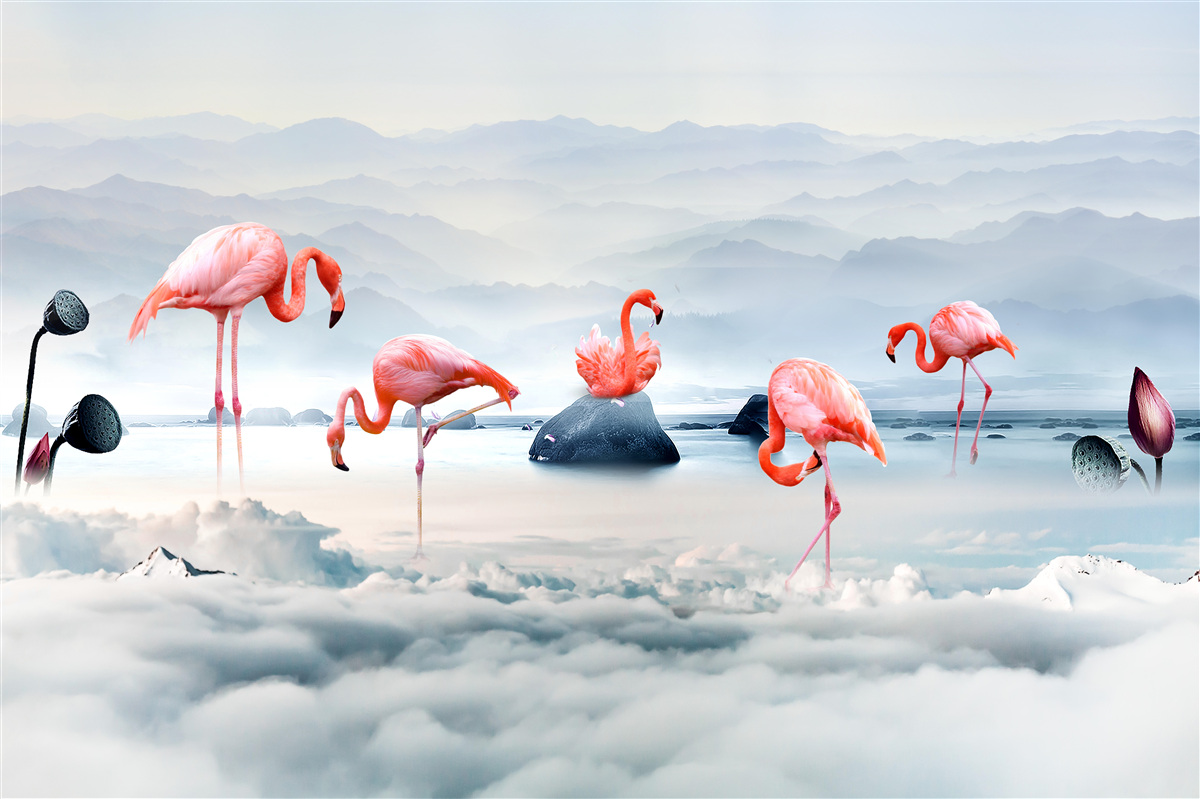 Fototapeten Rosa Flamingo unter Wolken