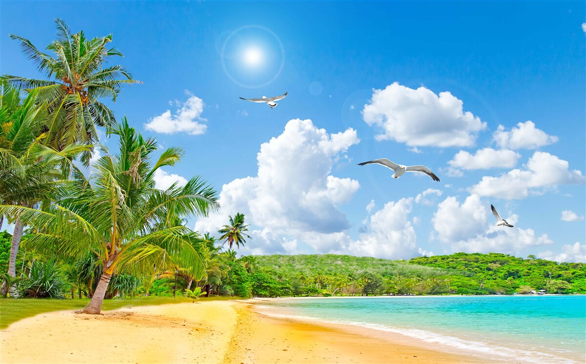 Fototapeten Das Meer und der Strand sind wunderschön