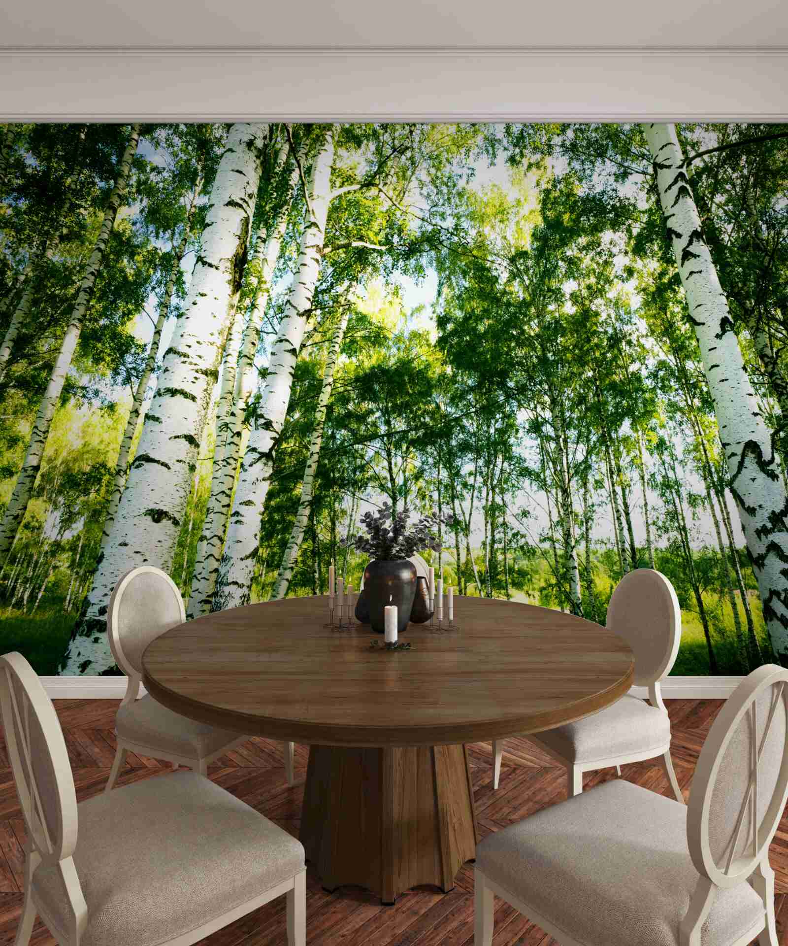 Fototapeten Birkenwald
