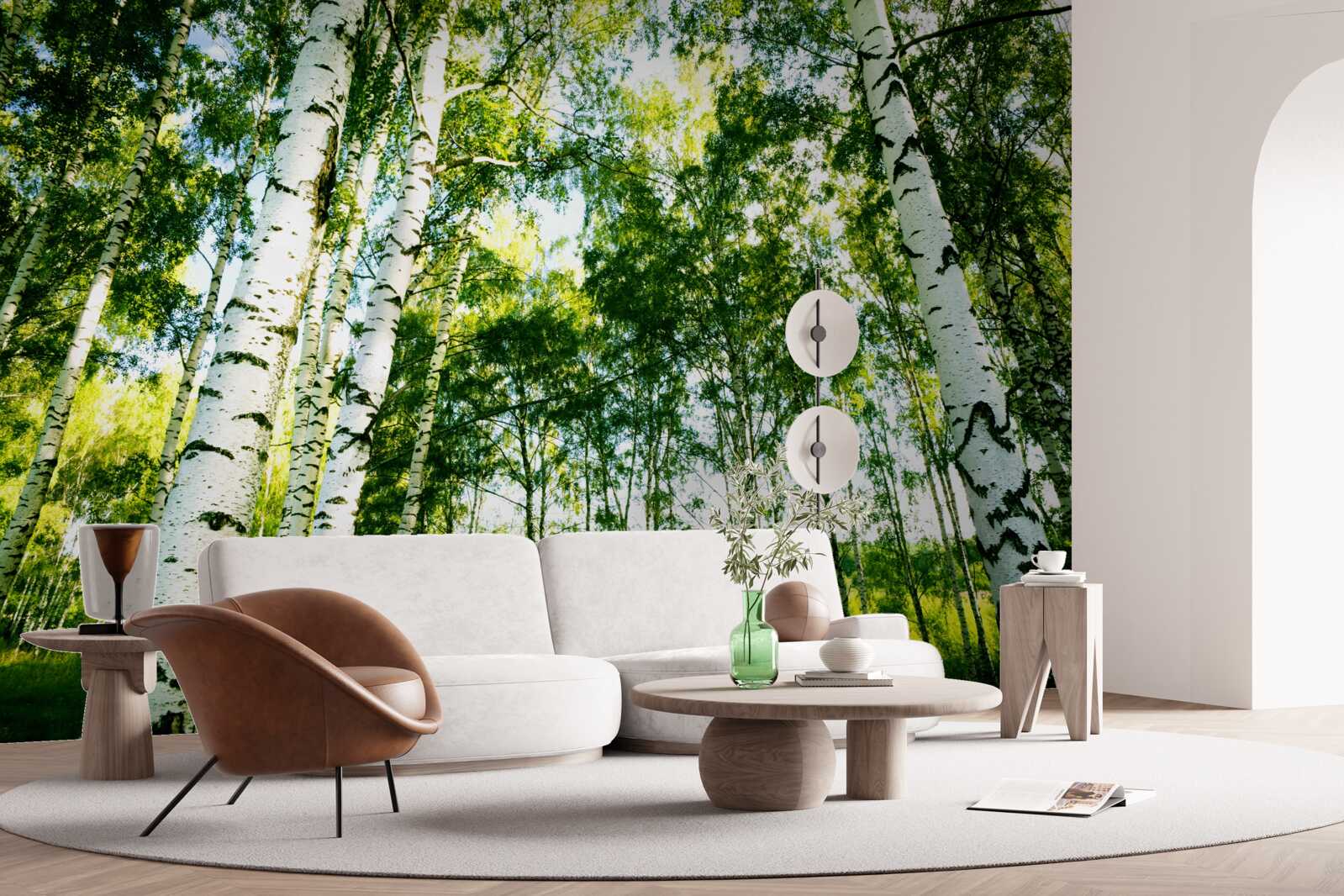Fototapeten Birkenwald