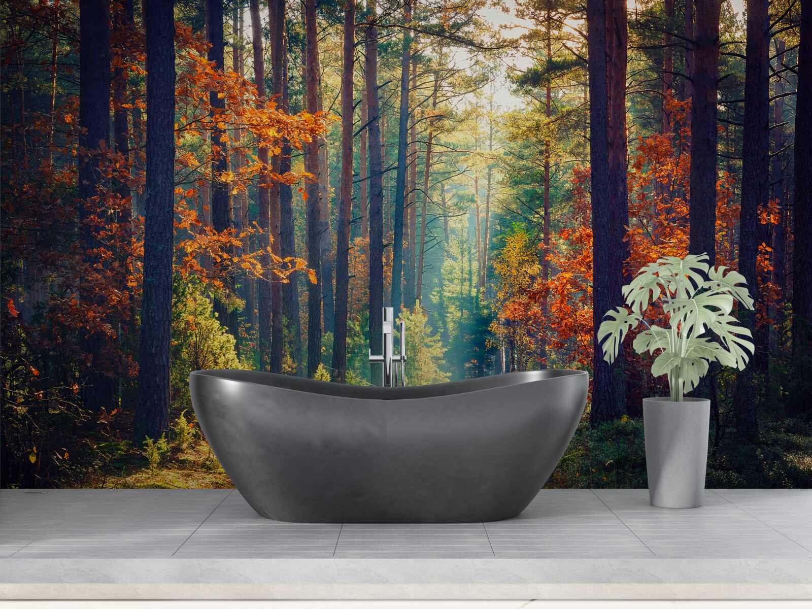 Fototapeten im Herbst im Wald