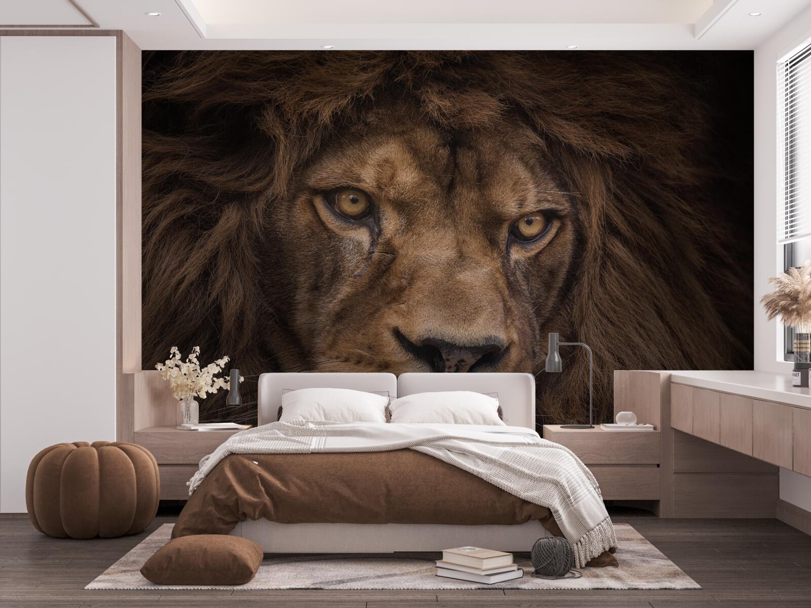 Fototapeten Wand und Löwe