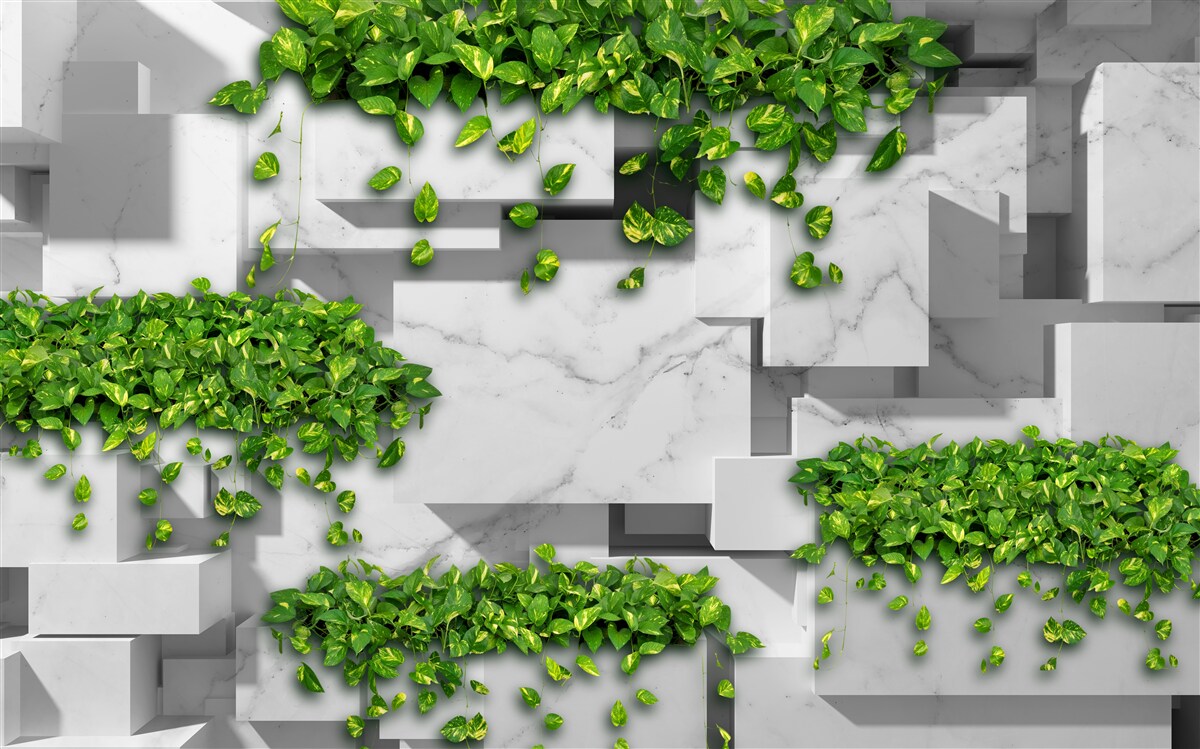 Fototapeten Blumentopf, grüne Wand und Vegetation