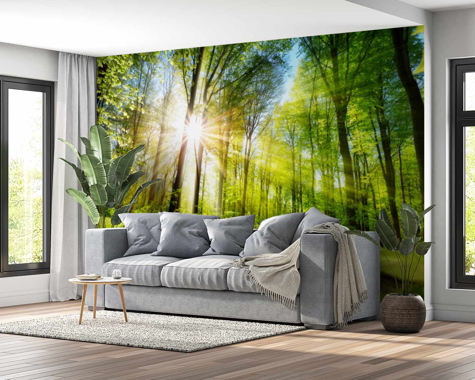 Fototapeten Der Wald wird von der Sonne beleuchtet