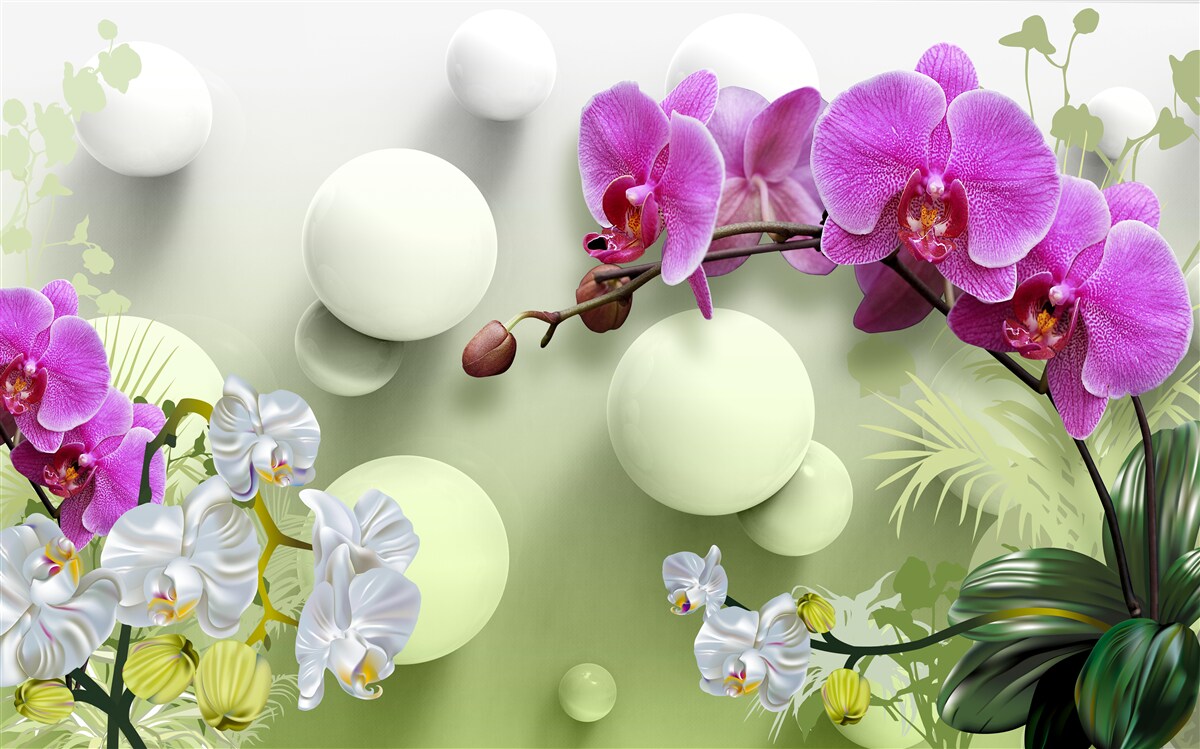 Fototapeten Lila Orchidee