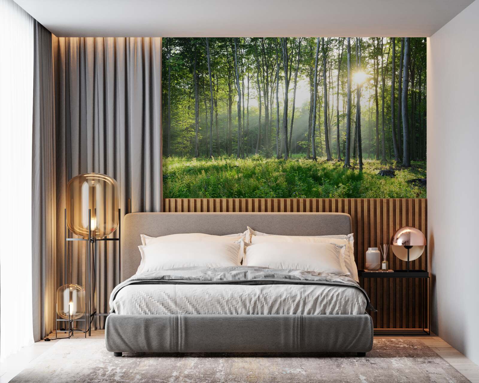 Fototapeten Der Wald wird von der Sonne beleuchtet