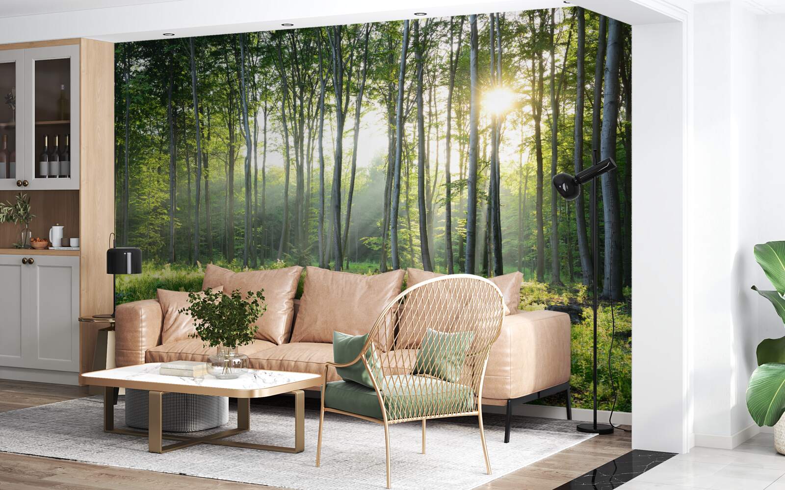 Fototapeten Der Wald wird von der Sonne beleuchtet