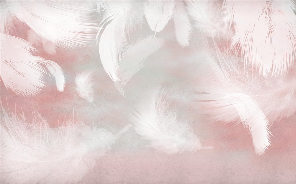 Fototapeten Der rosa Hintergrund ist mit weißen Federn dekoriert