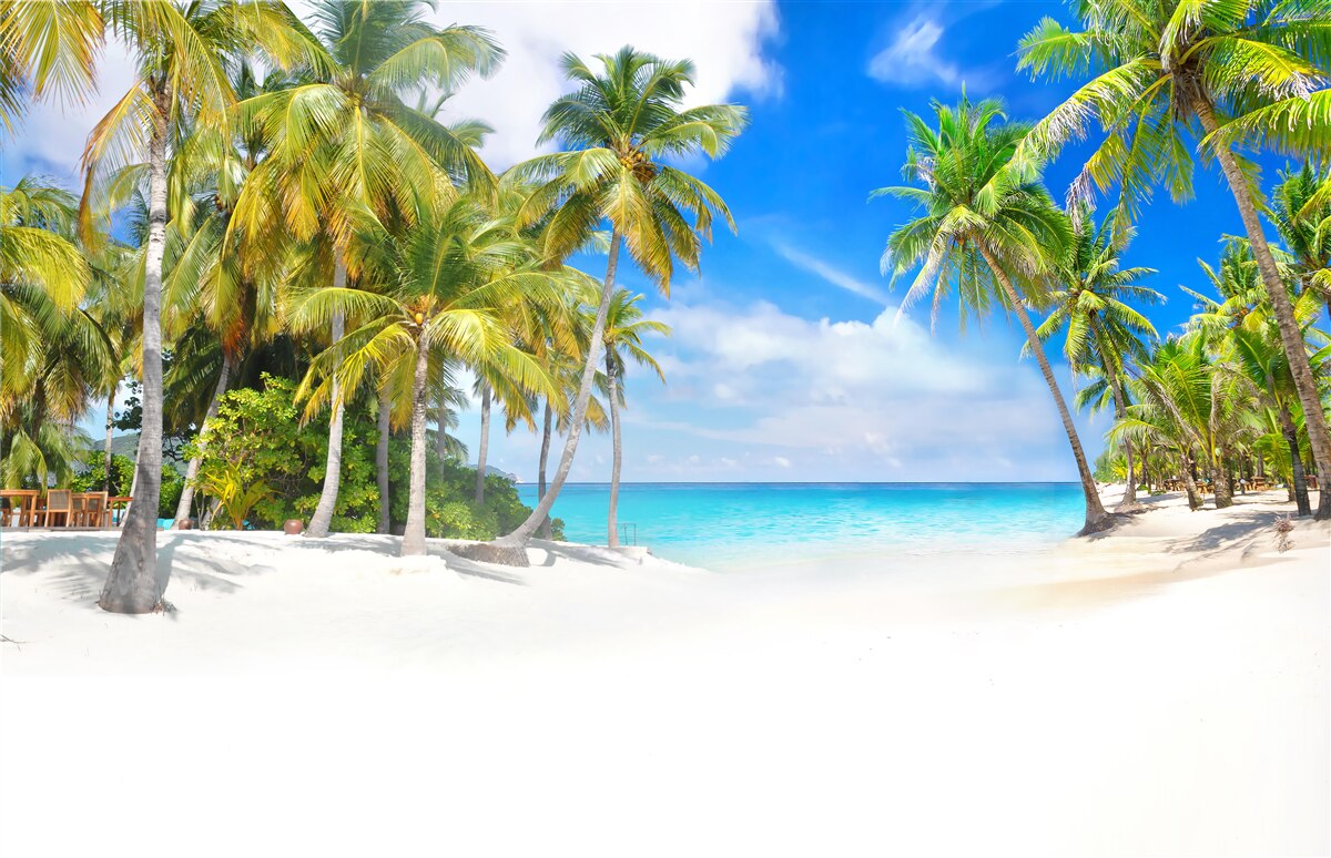 Fototapeten Strand mit Palmen übersät