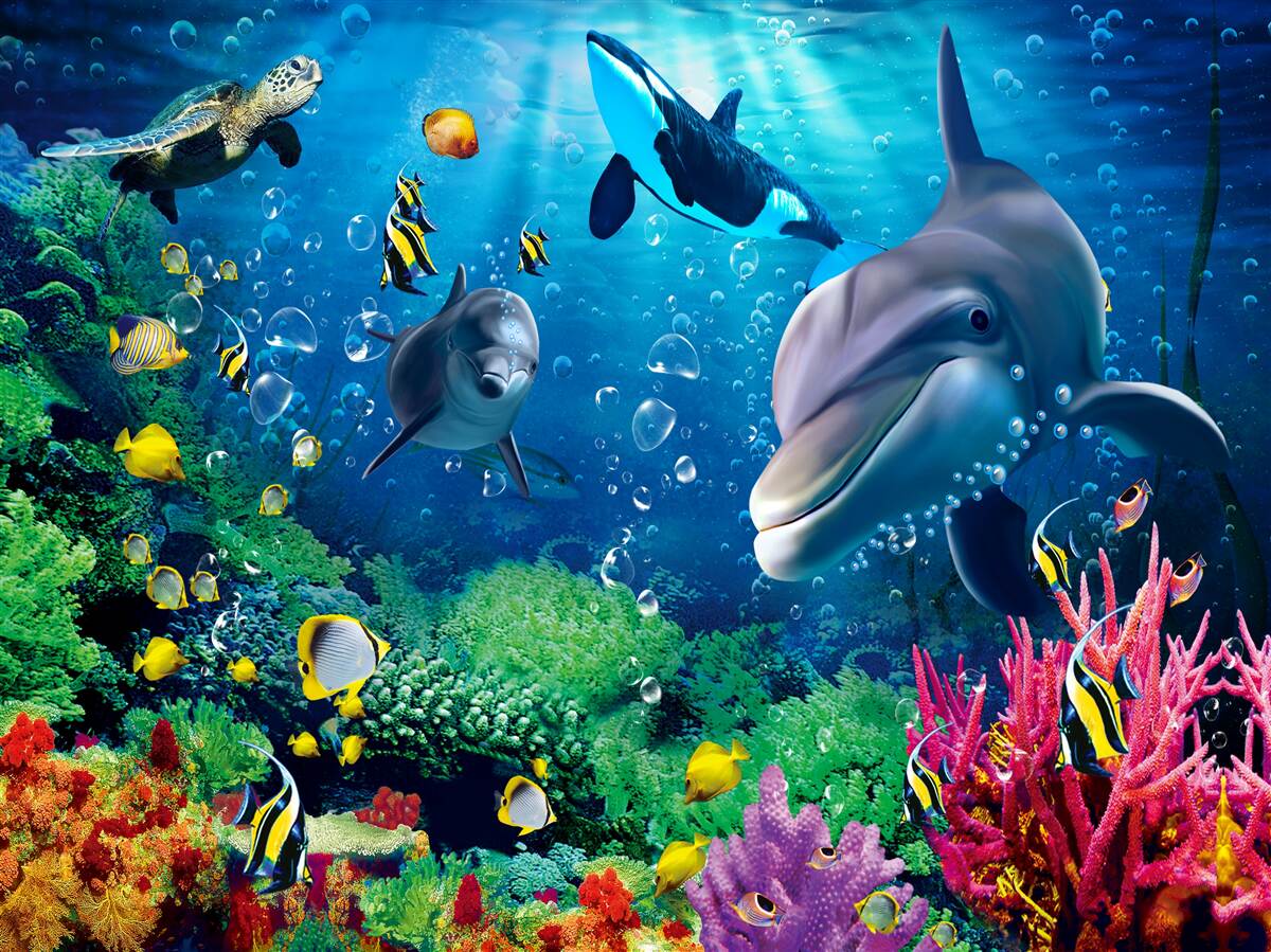 Fototapeten Wunderbare Tiefen des Unterwasserreichs