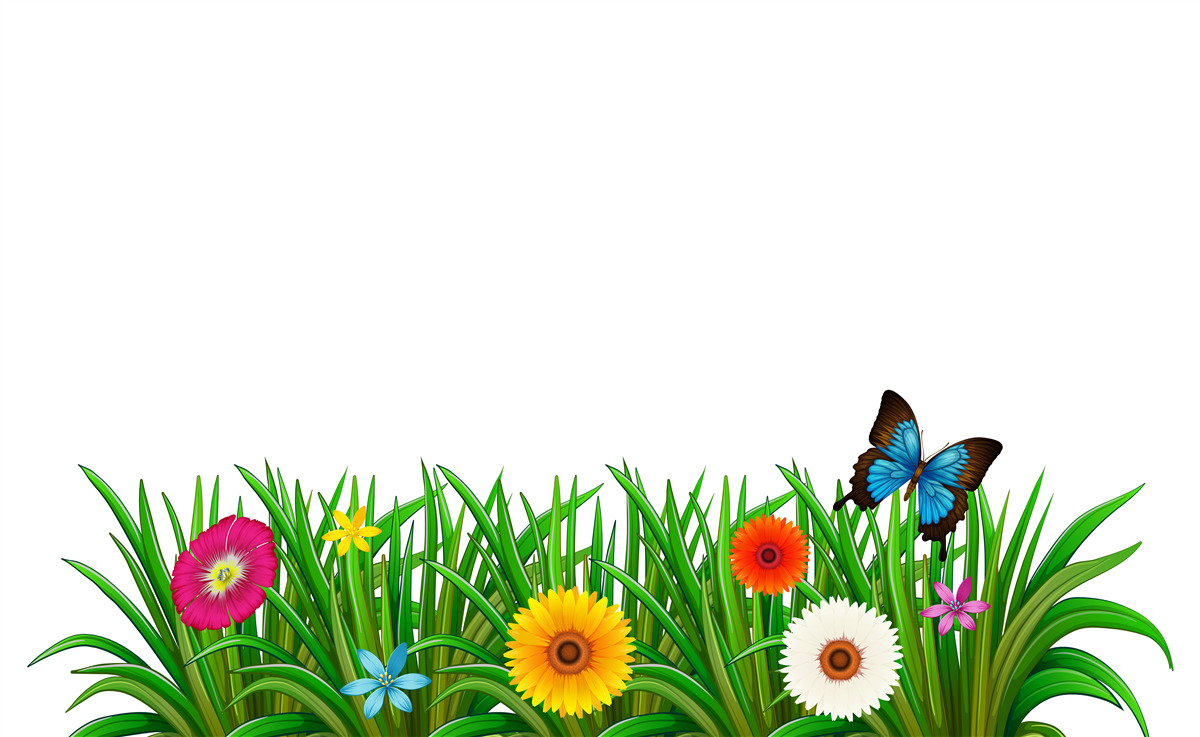 Fototapeten Der Schmetterling sitzt mit Gerbers im Gras