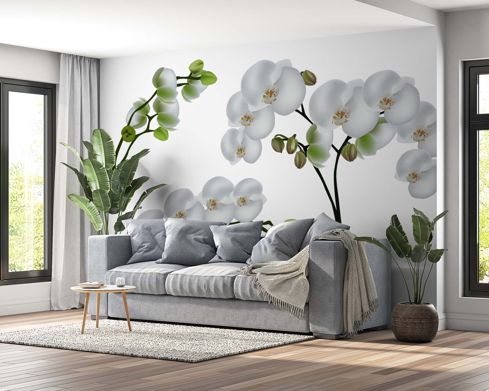 Fototapeten Weiße Orchidee mit grünen Blättern