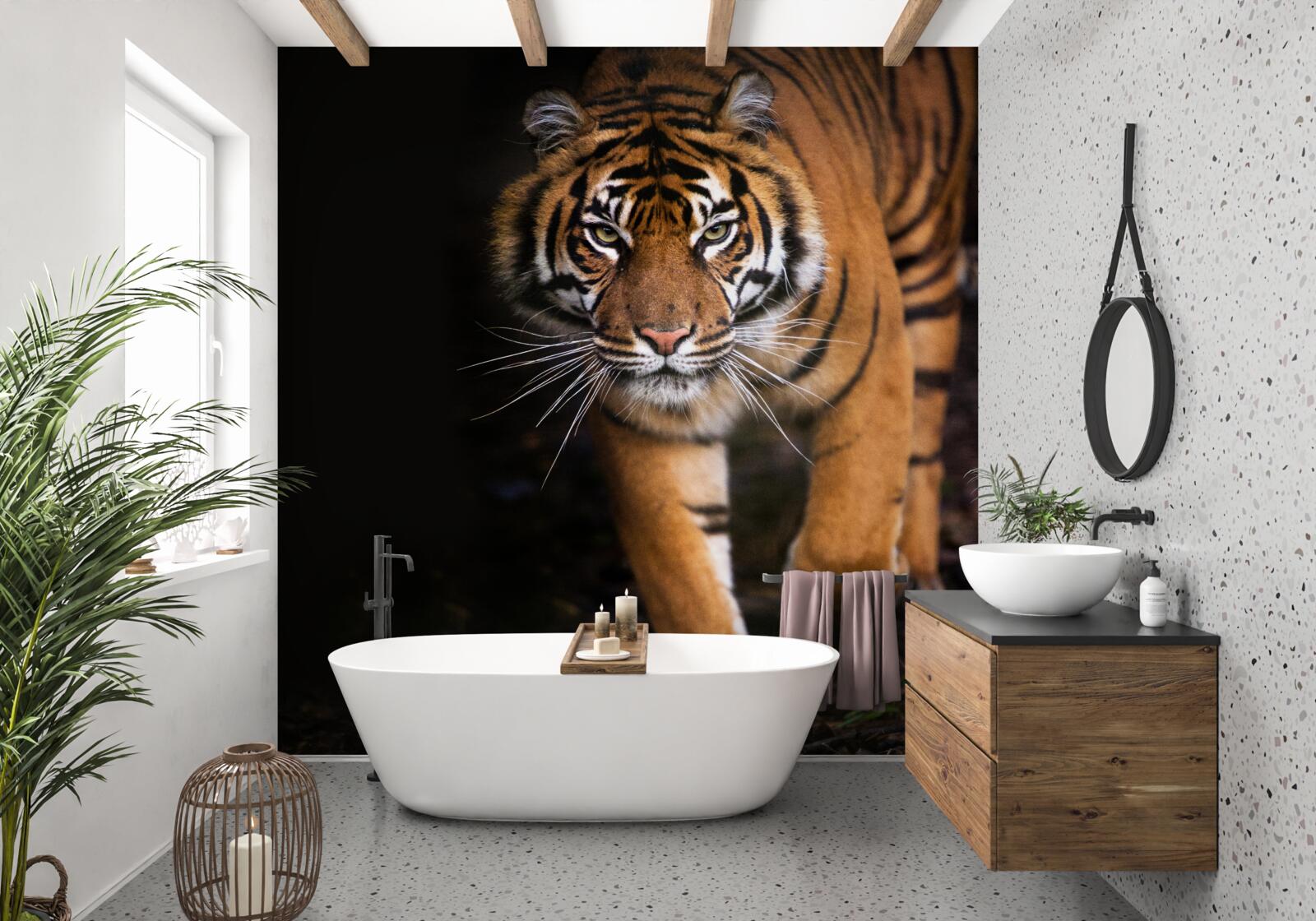 Fototapeten Der Tiger bewegt sich unbemerkt
