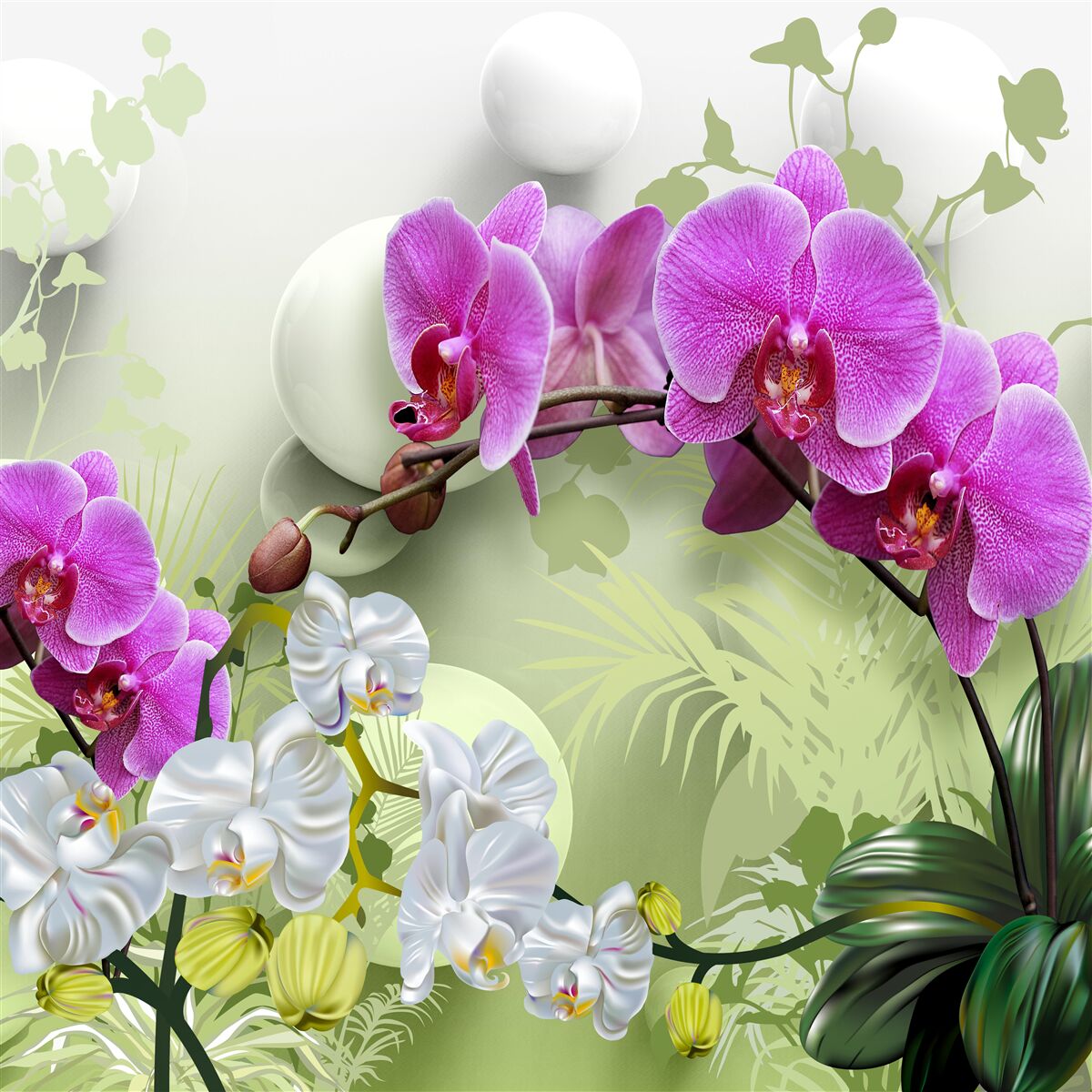 Fototapeten Violet Orchidee an Zweigen