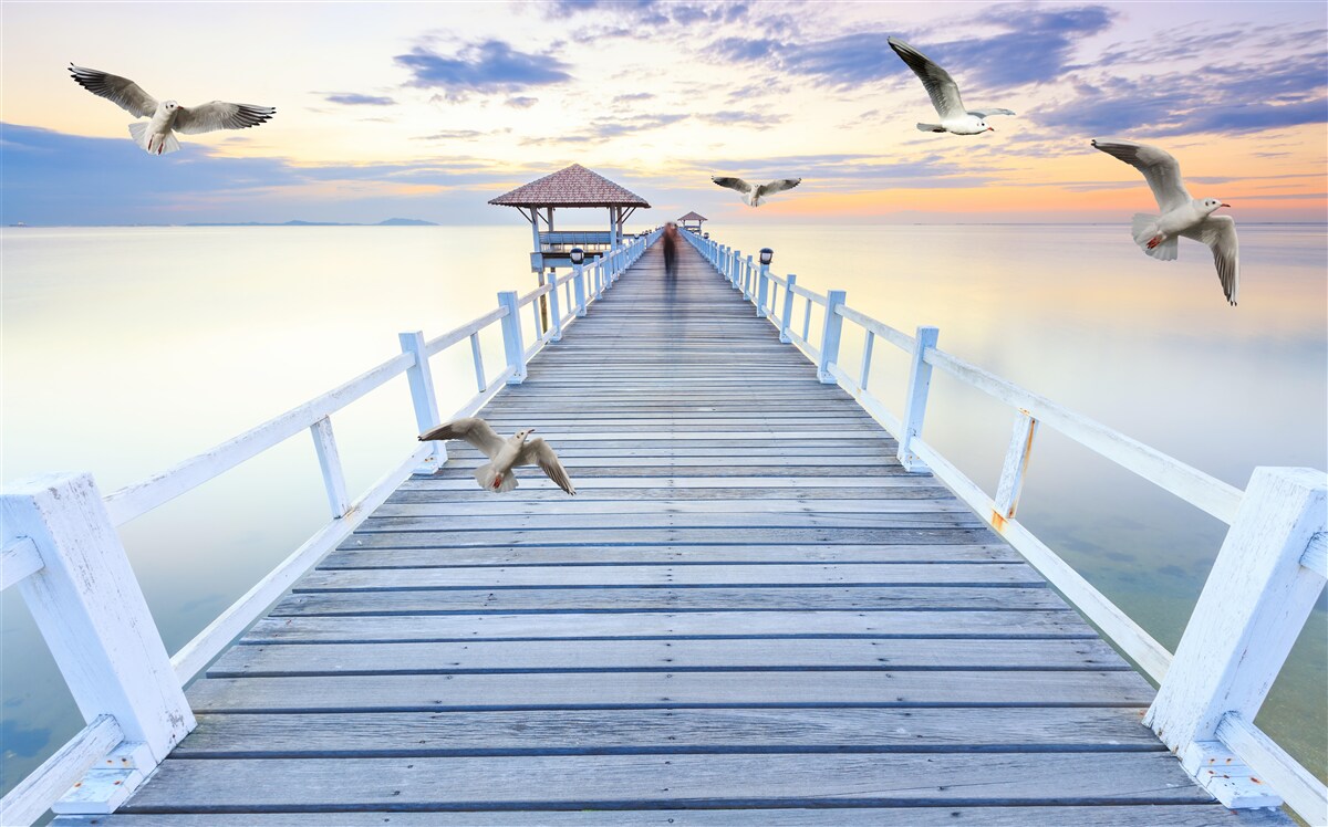Fototapeten Holzpier und fliegende Möwen