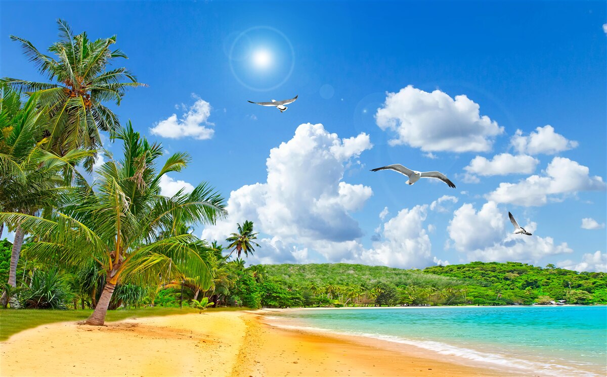 Fototapeten Tropenstrand am Meer, wie ein Paradies