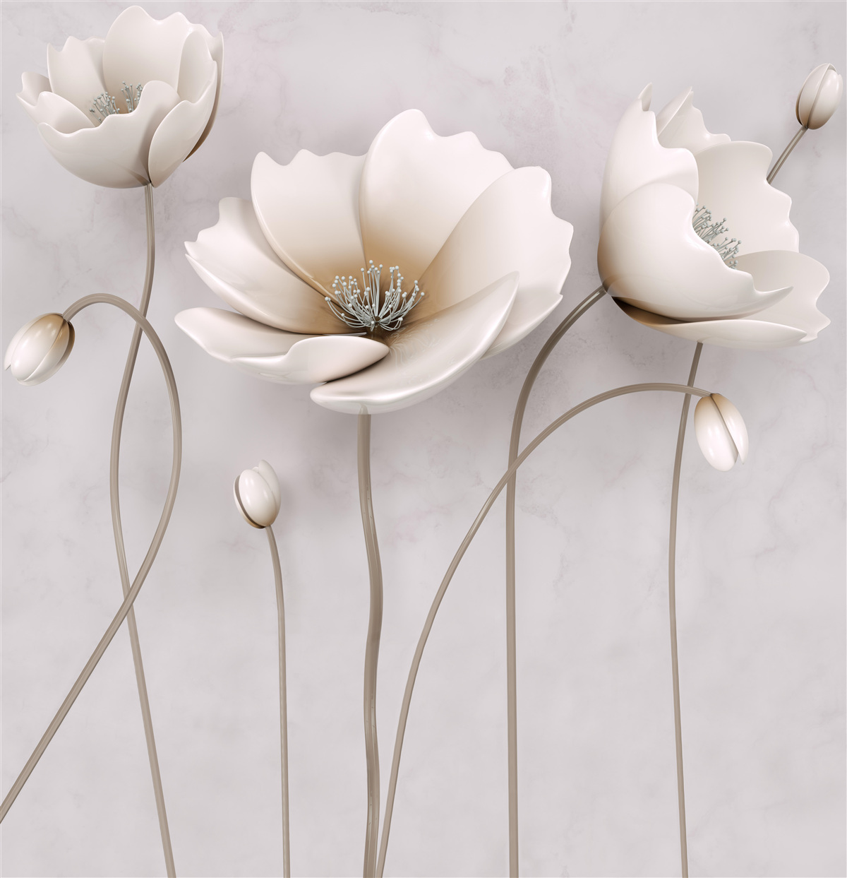 Fototapeten anmutige Lichtmohn
