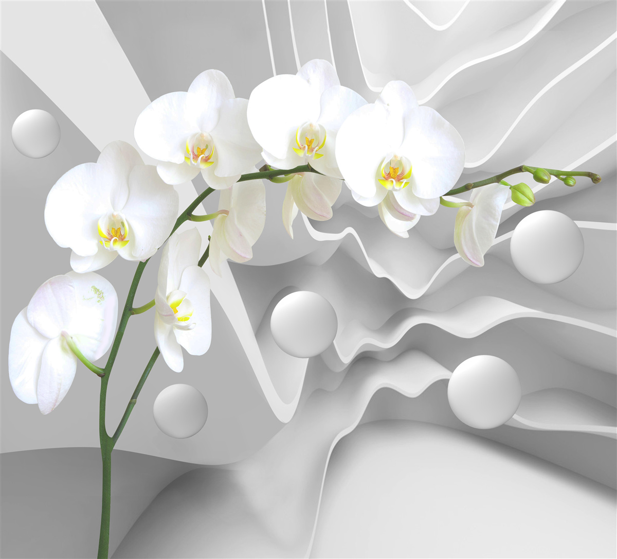 Fototapeten Abstraktion der anmutigen weißen Orchidee