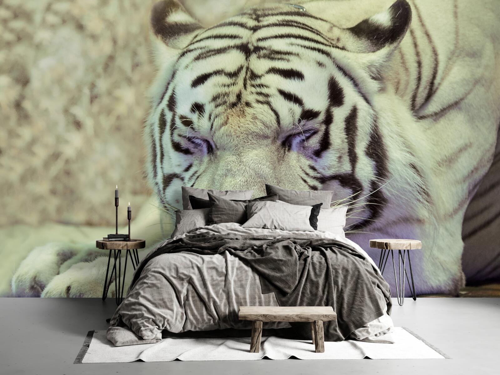 Fototapeten Weißer Tiger im Schlafzustand