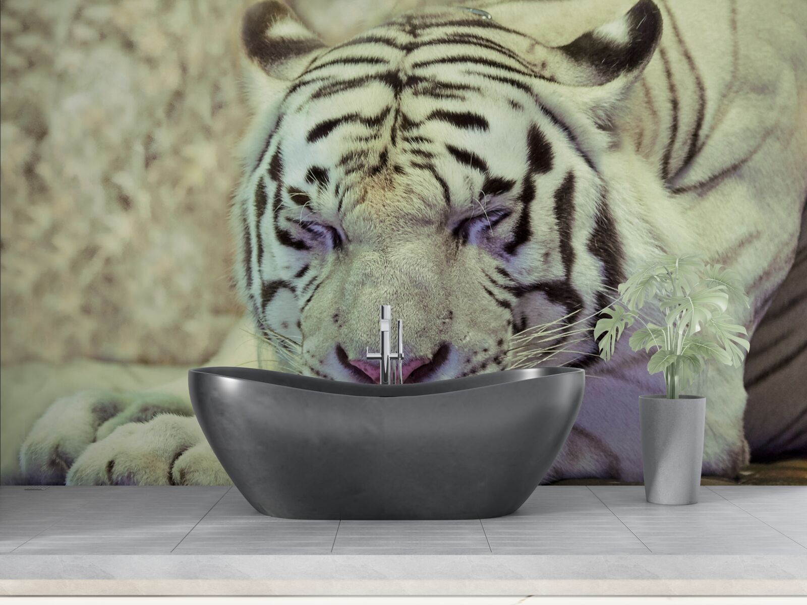 Fototapeten Weißer Tiger im Schlafzustand