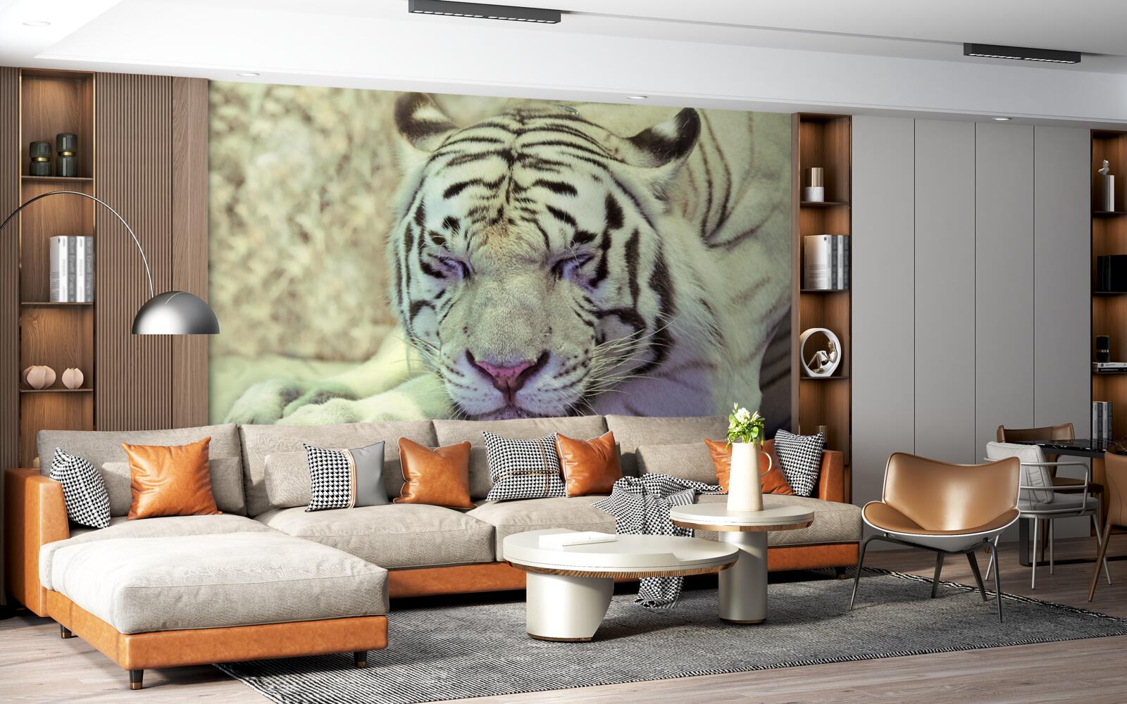Fototapeten Weißer Tiger im Schlafzustand