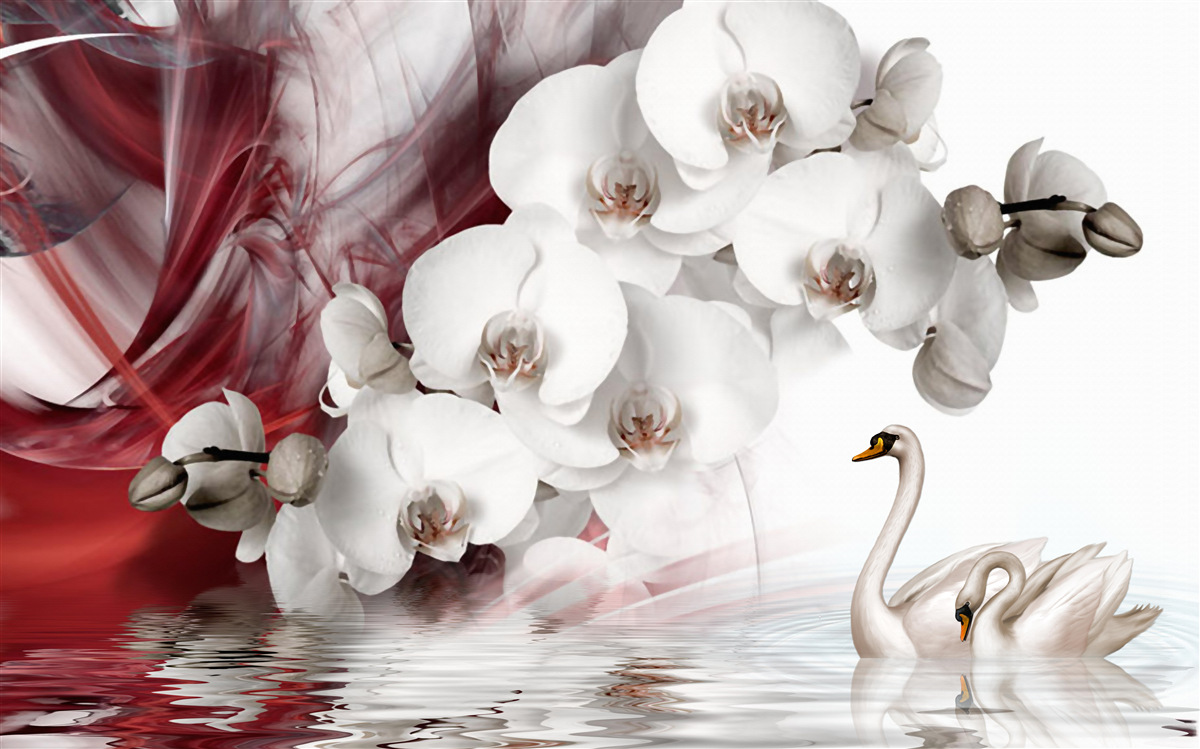 Fototapeten Orchidee mit weißen Knospen in der Nähe des Teichs mit Schwänen