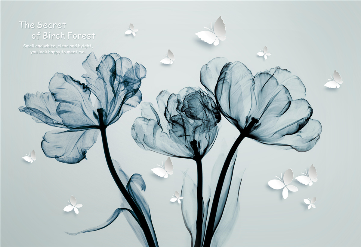 Fototapeten zarte Mohnblumen und leichte Schmetterlinge